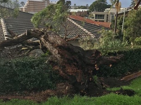 Lucky escape for this house on the corner of Painters Lane and Campbell Crescent, Terrigal, this morning August 10, 2020. Literally missed the house by inches. Picture: Tatiana Lovatt.