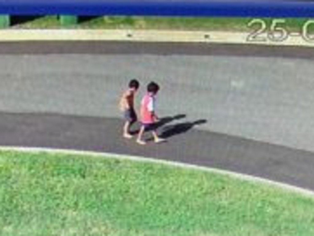 The brothers were caught on a neighbour’s CCTV walking to the park.