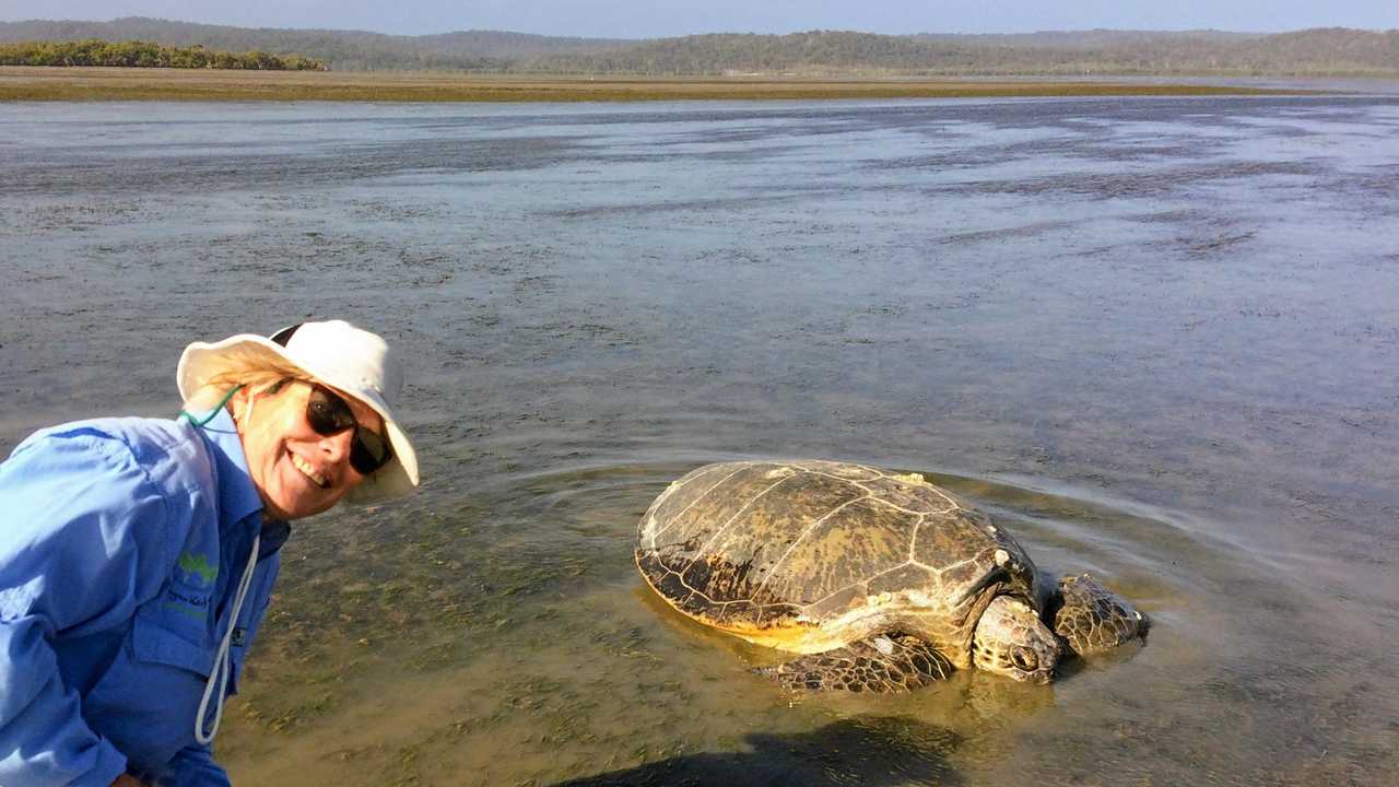 IN MEMORY: Tin Can Bay conservationist and mum Maree Prior is being remembered by loved ones for her vivacious personality. Picture: Burnett Mary Regional Group