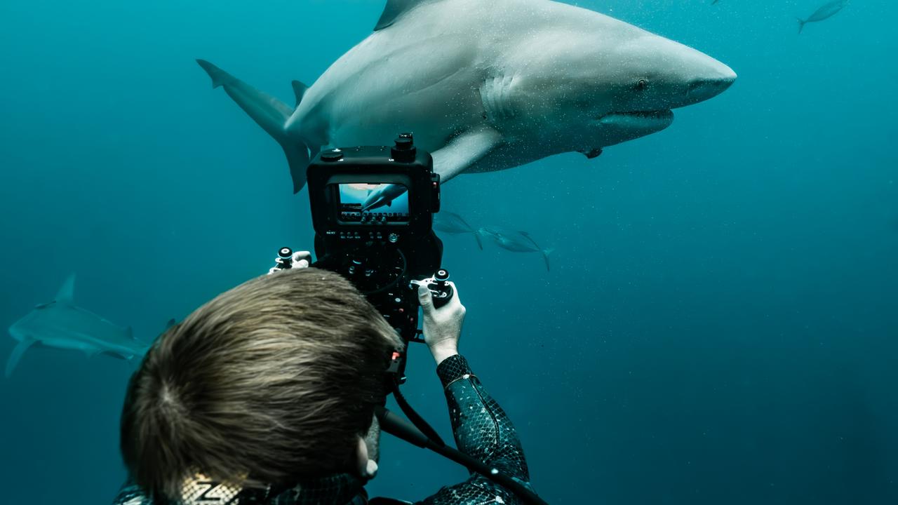 Shark doco maker makes waves with global broadcasters