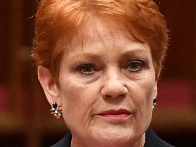 One Nation leader Senator Pauline Hanson speaks on immigration in the Senate chamber at Parliament House in Canberra, Thursday, October 19, 2017. (AAP Image/Mick Tsikas) NO ARCHIVING