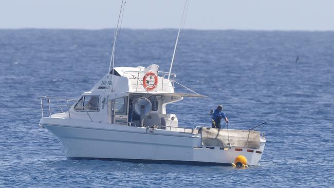 The shark net boat checking the net ahead of the Roxy Pro at Snapper Rocks on Thursday. Picture: Jerad Williams