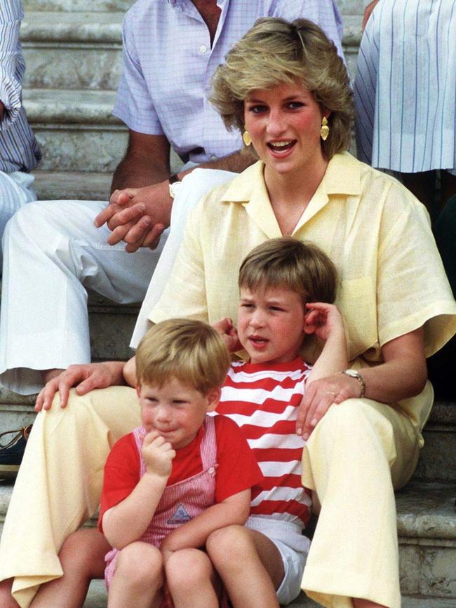 Diana would be devastated about the rift between her sons William and Harry. Picture: Terry Fincher/Getty