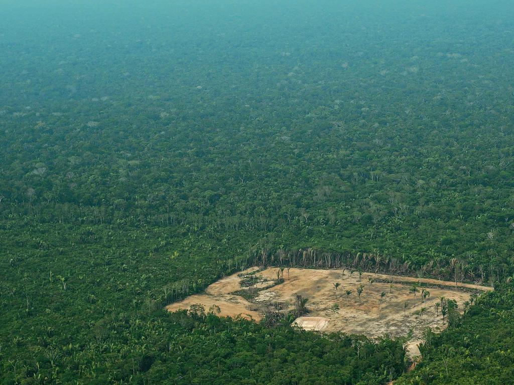 Amazon rainforest deforestation increased 88 per cent in June 2019 compared with the same period one year earlier. Picture: AFP