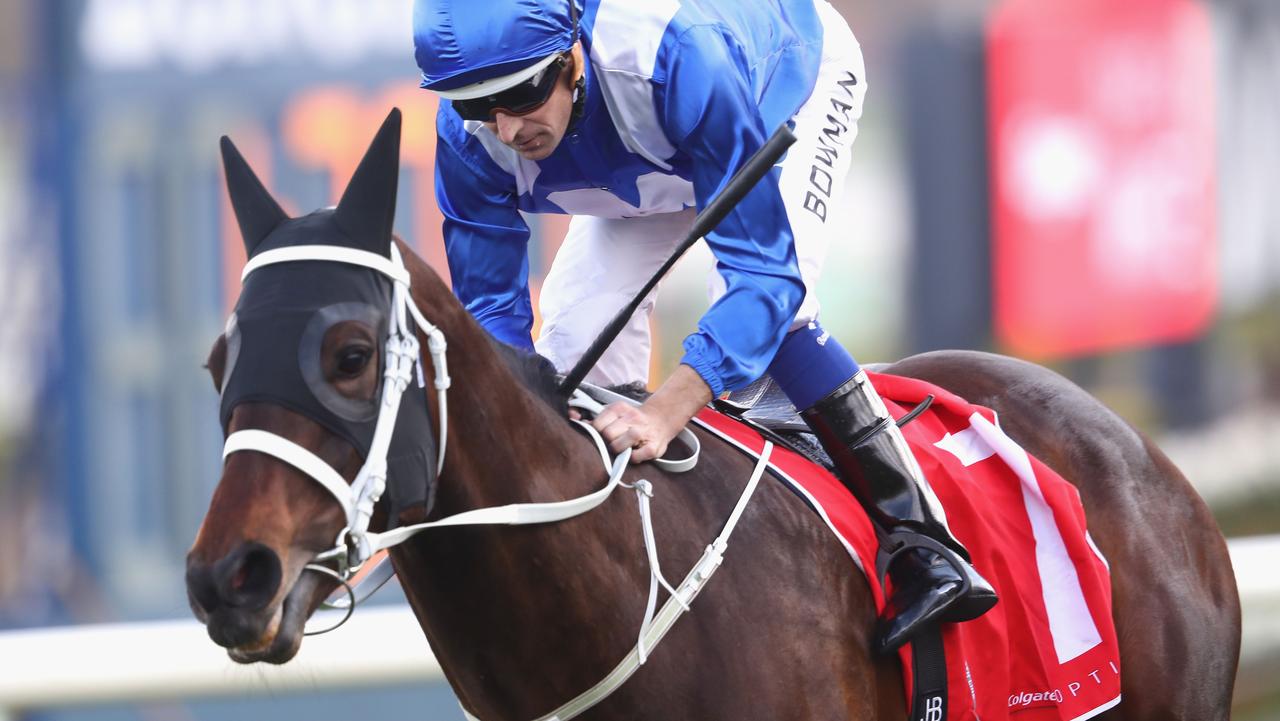 Winx to have final Cox Plate lead-up race at Flemington | The Australian