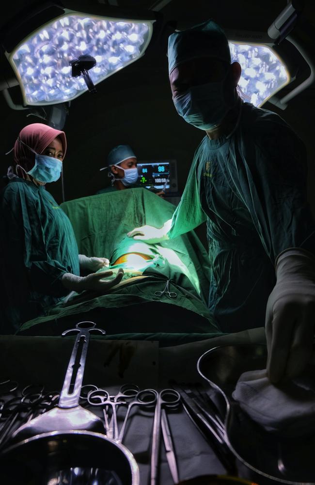 Pictures from #Green2020, Agora’s latest online photo contest. 'Operating theatre' by @drozzan (Indonesia).