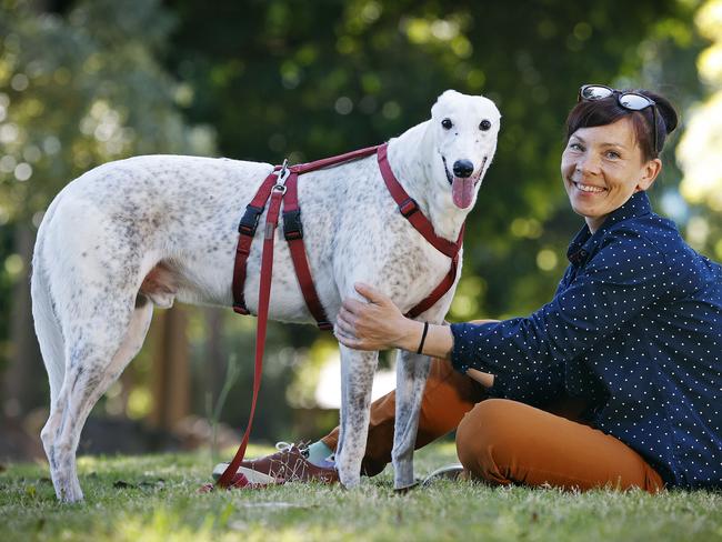 WEEKEND TELEGRAPH -  9/11/22  MUST CHECK WITH PIC EDITOR JEFF DARMANIN BEFORE USING -Yulia Bystrova and her 11yr old rescue greyhound ÃGreysonÃ pictured at St Leonards today Picture: Sam Ruttyn