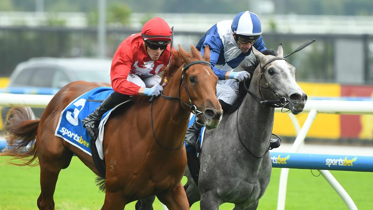 Palm Angel (left) and My Gladiola (right) became exempt from the Blue Diamond Stakes ballot when they filled the first two placings in last Saturday’s Group 2 Blue Diamond Prelude for fillies at Caulfield. Picture: Getty Images