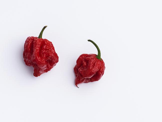 The Carolina Reaper is the hottest chilli in the world.