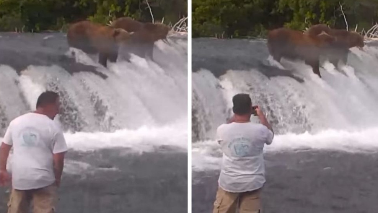 Three men who were spotted on a livestream in the national park have been imprisoned and fined for getting too close to the bears. Pictures: YouTube/ErumChad