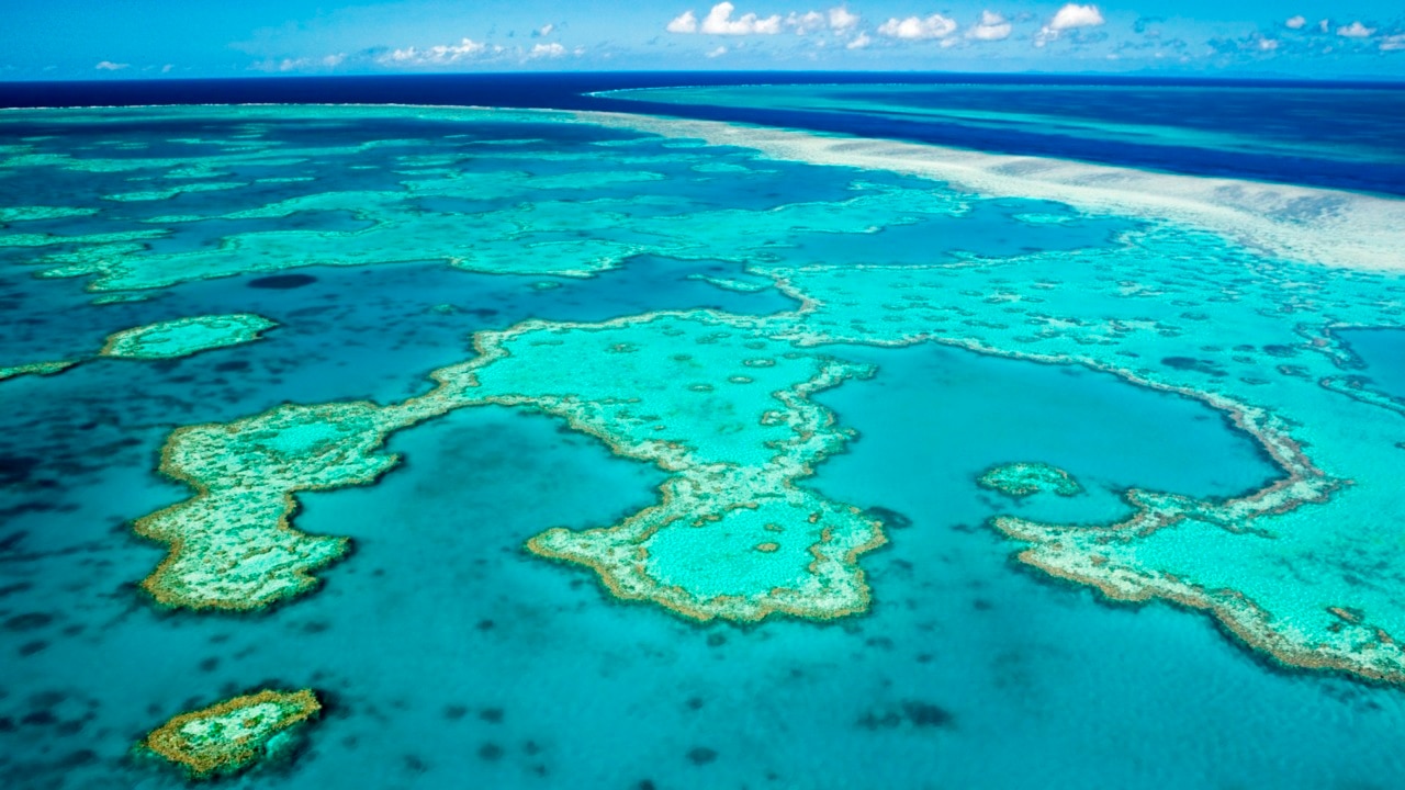 Great Barrier Reef Found To Have ‘record Amounts Of Coral’ | Sky News ...