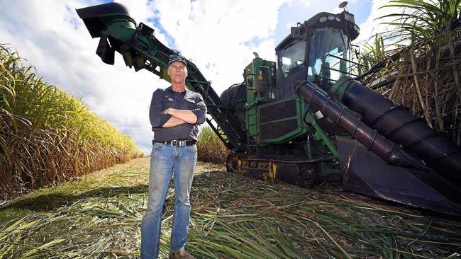 Reef reforms - Ashley Petersen from Petersen farms. Picture: Cody Fox