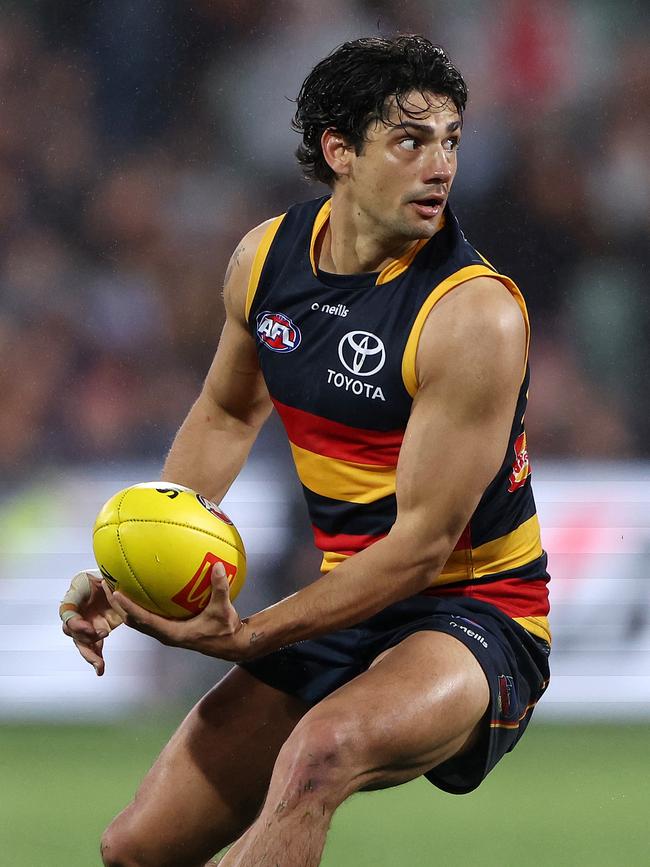 Shane McAdams is one name floated. Photo by Sarah Reed/AFL Photos via Getty Images