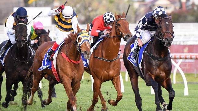 Russian Camelot, since retired to stud, claimed the Group 1 Underwood Stakes last year. Picture: Racing Photos