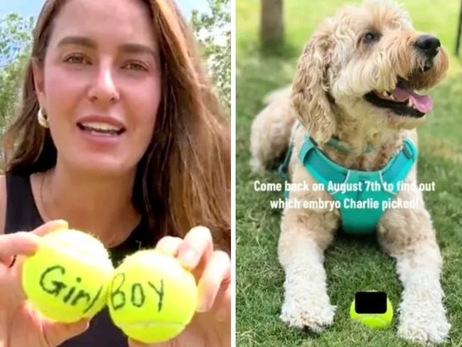 The couple's video of their dog picking their baby's gender has gone viral.