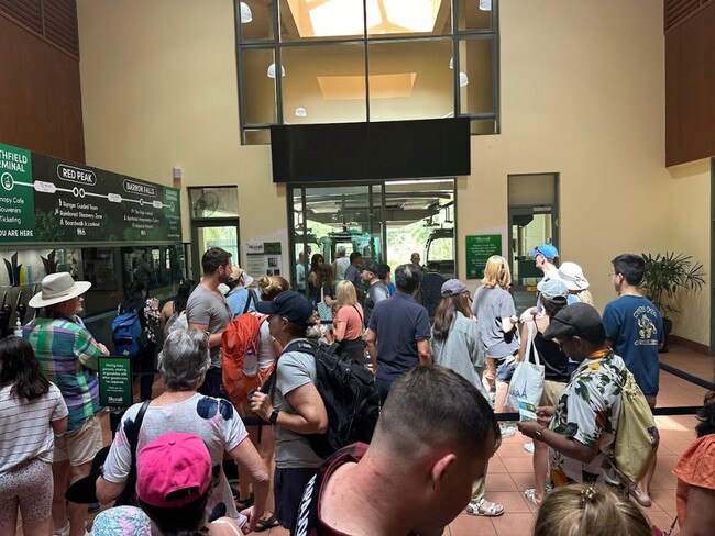 Tourists eager to ride the Kurand Skyrail despite the natural disaster unfolding around them. Picture: Tanya French