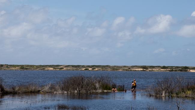 The wetlands are a tourist drawcard. Picture: Nathan Schmidt