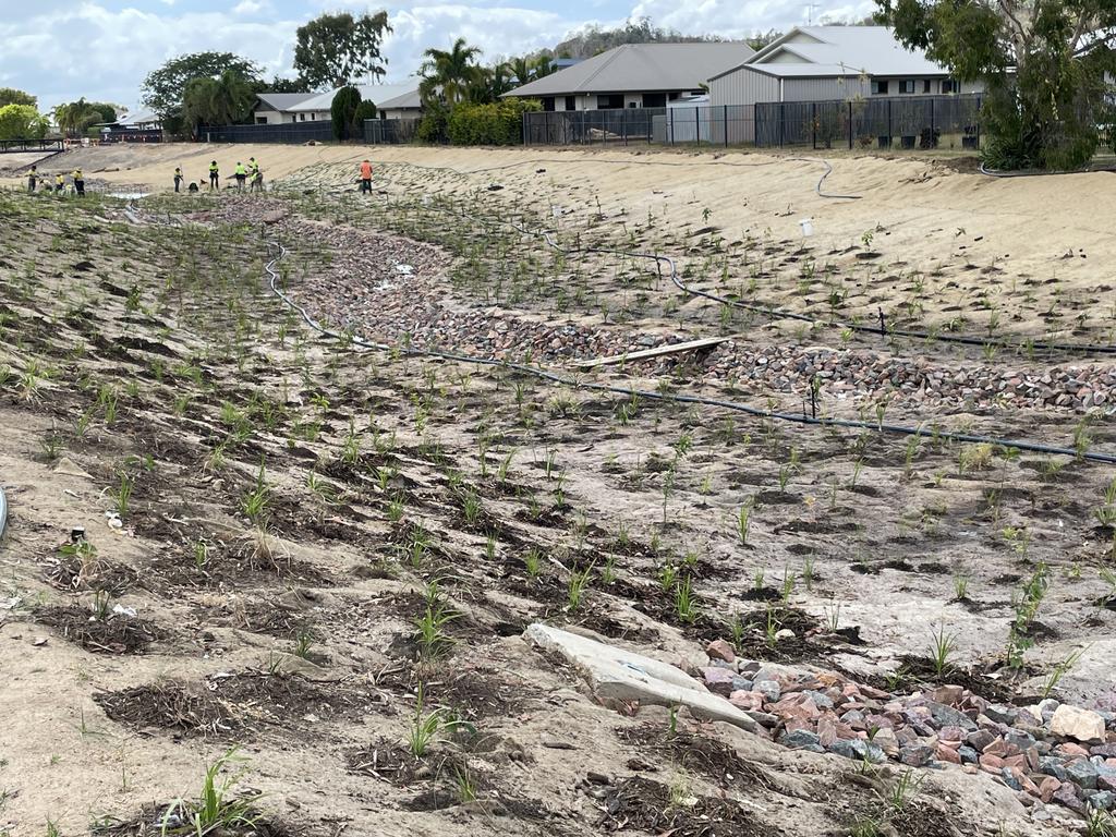 An estimated 70 workers are planting 97,000 grasses and trees for the Bushland Beach naturalisation project. Picture: Leighton Smith.