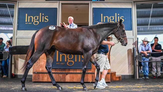 8 April 2024, Warwick Farm. Easter sale by Inglis auction. Winx x Pierro Filly sells for a record breaking AU $10 Million. Photo: Supplied