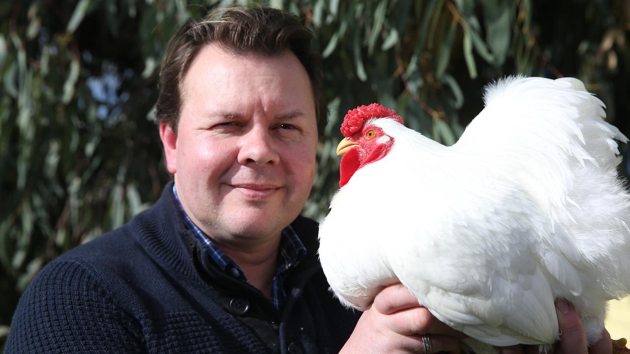 Geelong Poultry Show: Wyandotte Bantam beats 500 birds | Geelong Advertiser