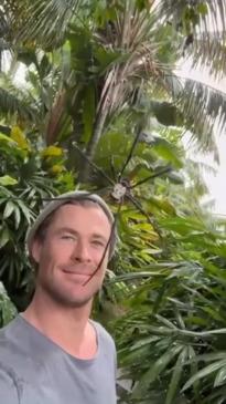 Chris Hemsworth not scared of giant spider