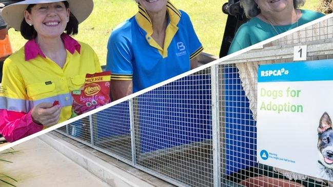 The South Burnett Regional Council will be taking over the management of the animal management facility in Kingaroy once the RSPCA lease finishes on July 1, 2025.