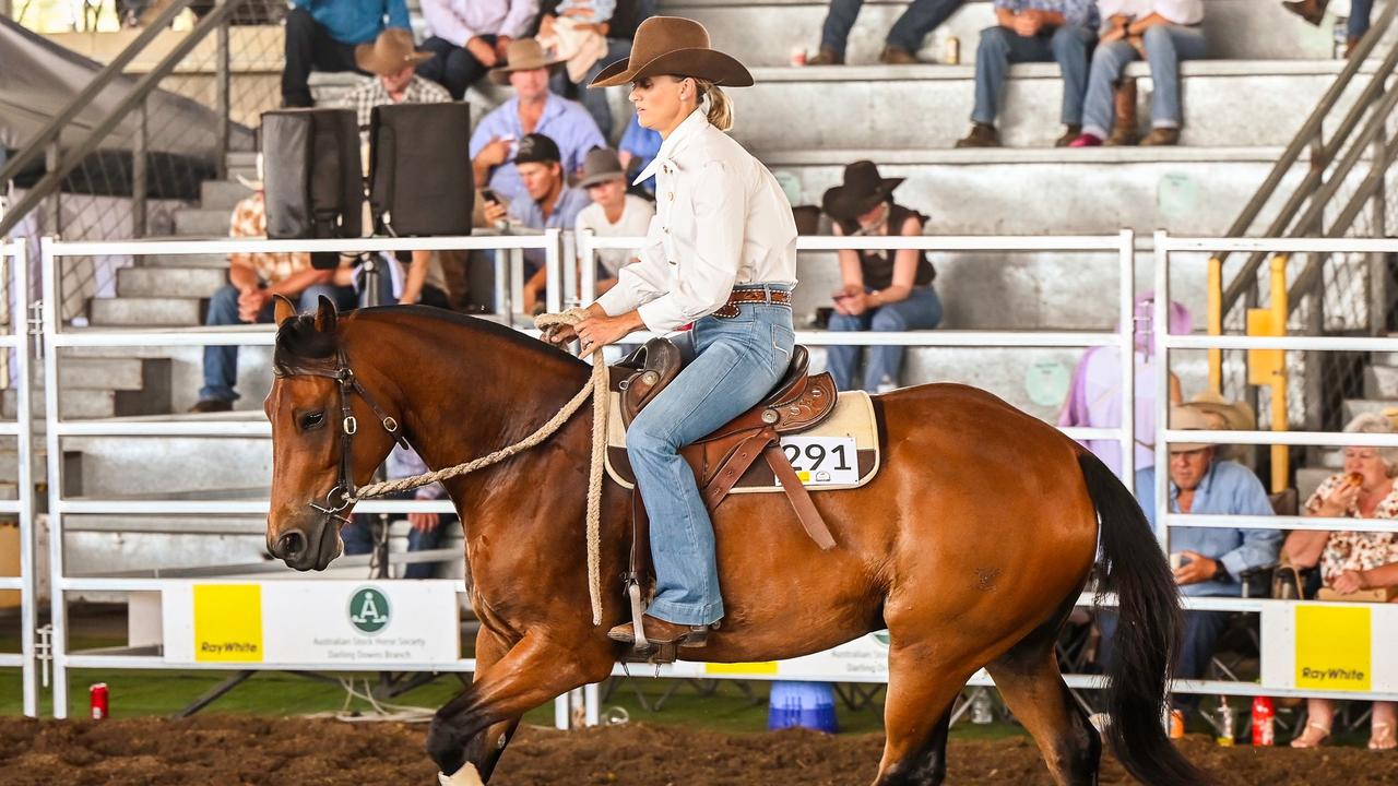 Dalby Australian Stock Horse Sale. Photo: Elite Edge Media.