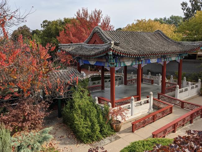 Golden Dragon Museum gardens, Bridge St, Bendigo. Picture: Zizi Averill