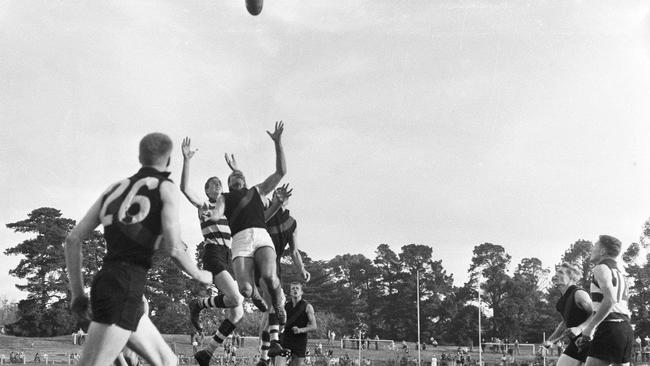 Graeme O'Donnell played seven games for the Cats in the early 1960s. Picture: courtesy of Bob Gartland collection