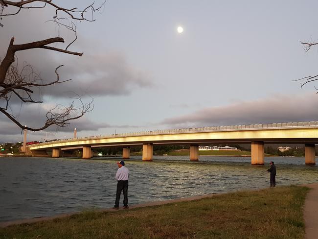 Commonwealth Avenue Bridge. Picture: David Flannery.