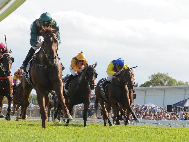 Capitalist, ridden by Blake Shinn, wins the Magic Millions 2YO Classic in January. Picture: Grant Peters