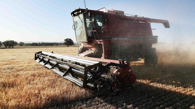 Twelve months have passed since the Chinese government slapped an 80.5 per cent tariff on Australian barley. Picture Rohan Kelly.