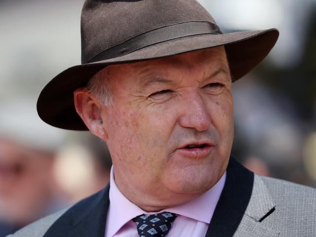 Trainer David Hayes says the injury to Fifty Stars is something of a mystery.