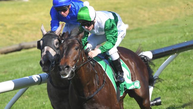 Just Thinkin’ is the class runner in the Bondi Stakes. Picture: AAP