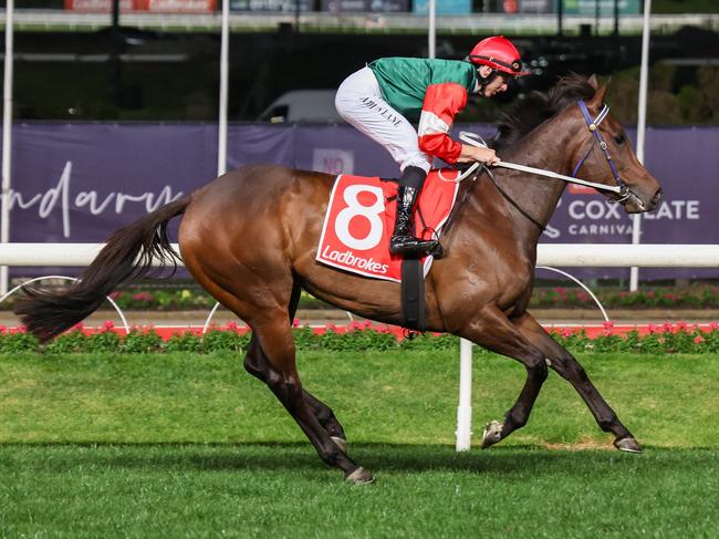 Amelia's Jewel on the way to the barriers prior to the running of the Ladbrokes Stocks Stakes at Moonee Valley Racecourse on September 29, 2023 in Moonee Ponds, Australia. (Photo by George Sal/Racing Photos via Getty Images)