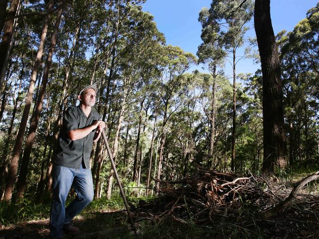 Central Council has approved its Open Pile Burning Policy, combining for former Wyong and Gosford LGAs. Picture: Sue Graham