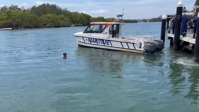 Frantic search after car drives off Central Coast wharf