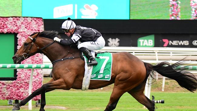 Victorem is without a jockey for Saturday’s Stradbroke Handicap. Picture: Trackside Photography