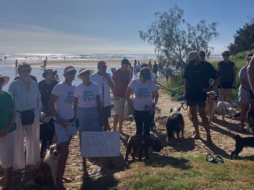 ‘Discriminatory’: Outrage over popular dog beach plans