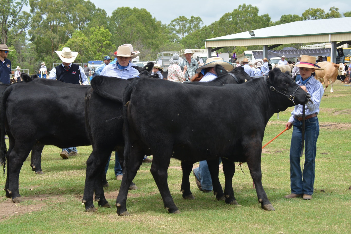 At the 71st Annual Cooyar Show. Picture: Kate McCormack