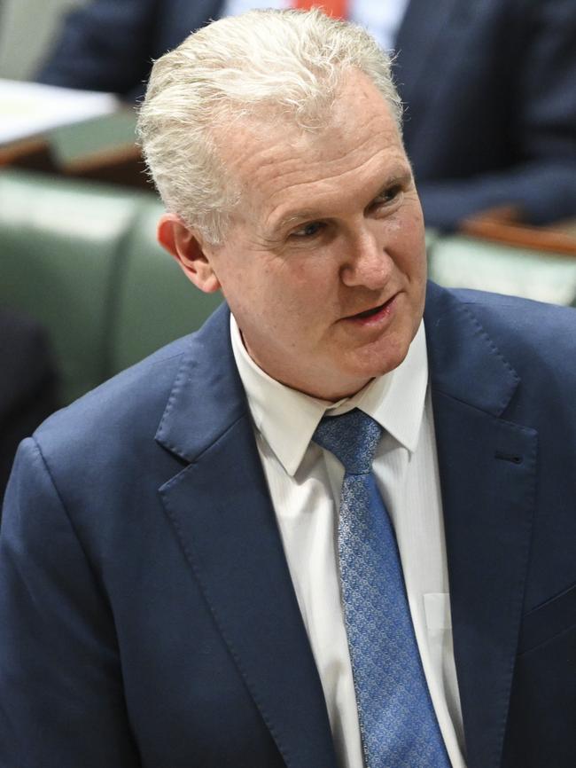 Tony Burke spent more than $398,000. Picture: NCA NewsWire / Martin Ollman