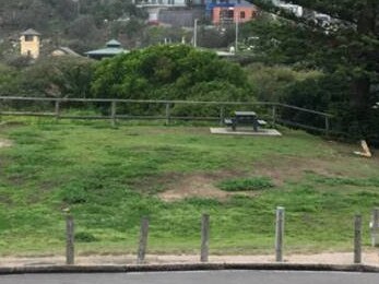 Local picnic area at Freshwater Beach.