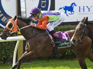 Little Miss Pixie and Michael Cahilll win race one at Clifford Park, Tuesday, June 16, 2020. Picture: Kevin Farmer