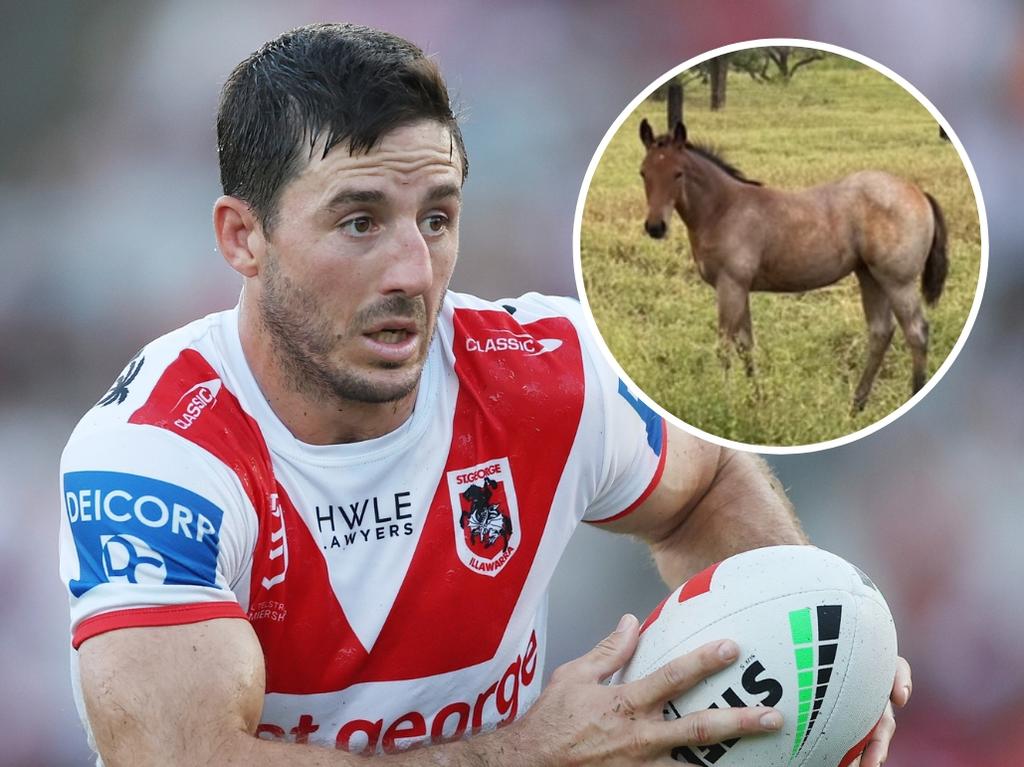 Ben Hunt will step into the horse business after retirement