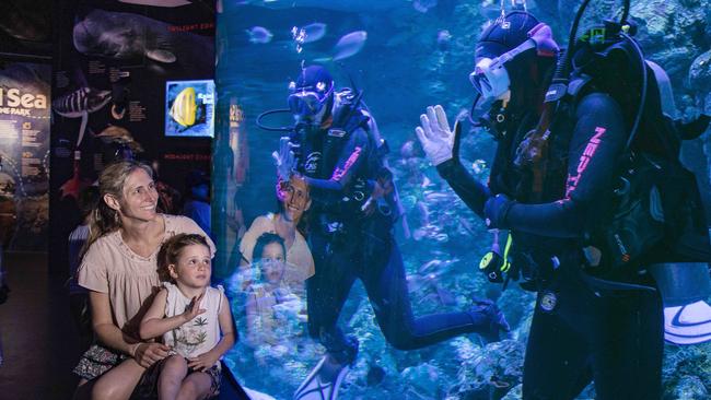 Perth visitors Carla Chertman and daughter Hannah view the underwater Great Barrier Reef sea life and divers at the Cairns Aquarium on Thursday. Picture: Brian Cassey