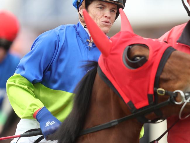 Champion jockey Craig Williams has a strong book of rides.