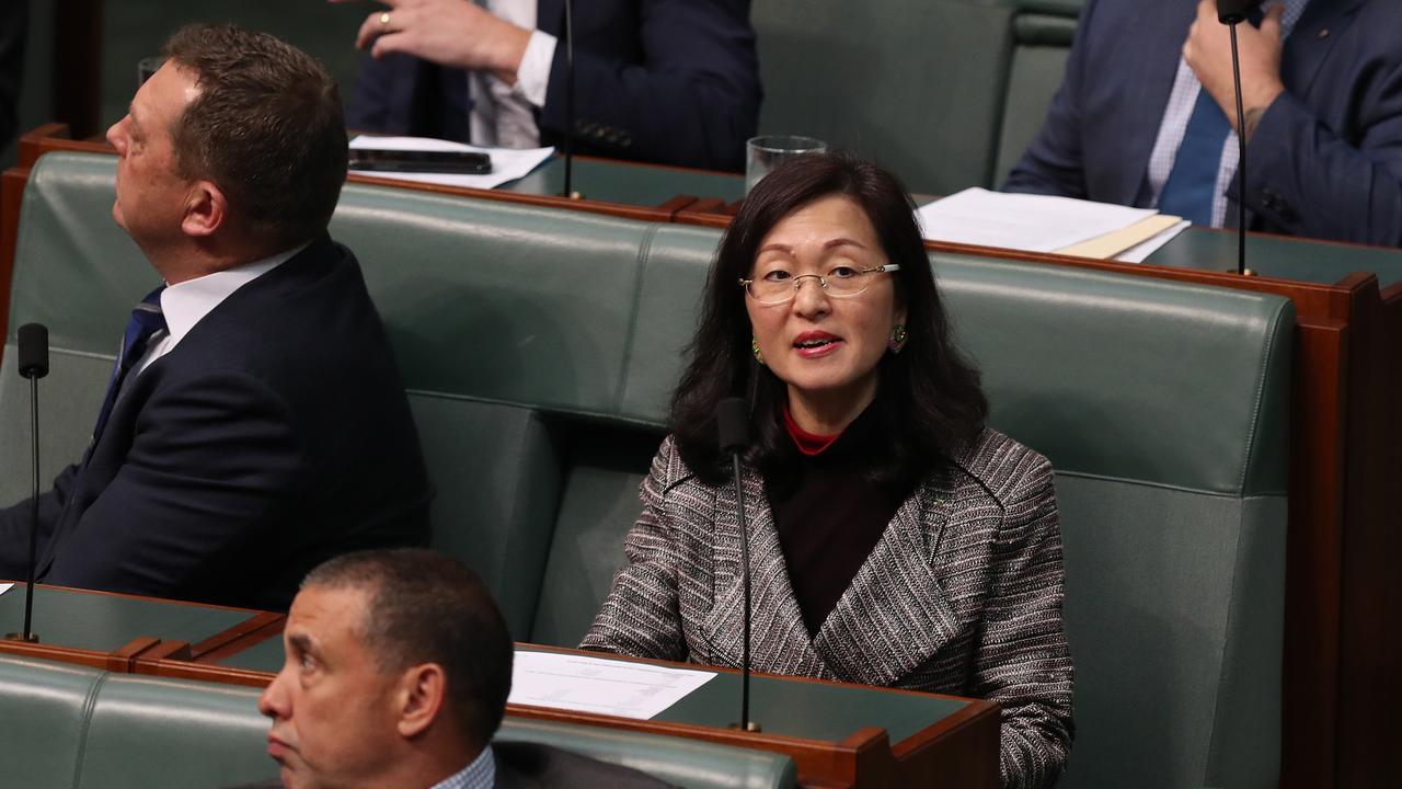 Gladys Liu has attracted continued controversy during her short time in parliament. Picture: Kym Smith