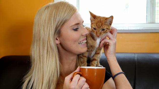 Renee Newham enjoys a cup of coffee with her kitten as another cat cafe prepares to open in Sydney. Picture: Adam Taylor