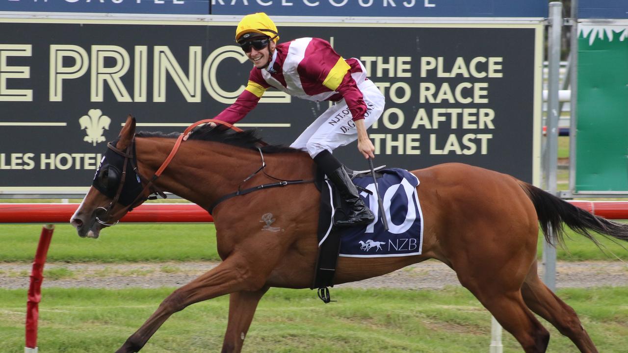 Festival Dancer won the Spring Stakes on The Hunter Day last year and resumes at Newcastle on Saturday. Picture: Grant Guy