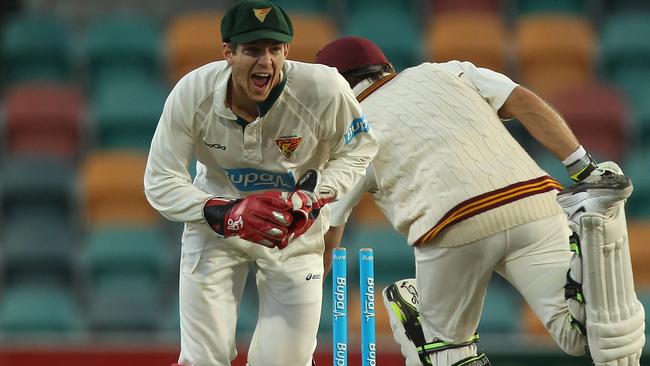 Tim Paine will snub an interstate move and stick with Tasmania.